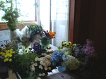 DSC00154.jpg