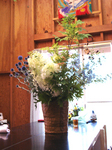 DSC00166.jpg