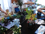 DSC00188.jpg
