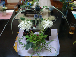 DSC00212.jpg